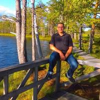 Отзыв от Виталий - DTV виза